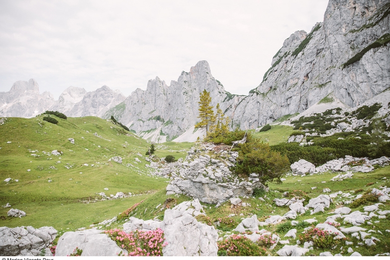 Hotel Trek Safari - King Dachstein Trail pro běžce